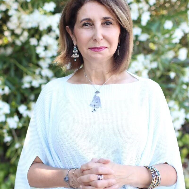 January Member Dinner: An Evening with Delfarib Fanaie  - logo